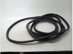 GOMAS CONTORNO PUERTA KK31V20709 