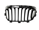 REJILLA DELANTERA 51137262117 107063404/2181524/BM1232023