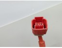 CABLEADO ELECTRICO 