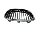 REJILLA DELANTERA 51137179656 107061319/2181504/BM1212023