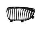 REJILLA DELANTERA 51137179656 107061319/2181504/BM1212023
