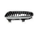 REJILLA DELANTERA 51137166439 107061320/2181505/BM1212024