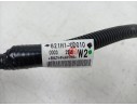 CABLEADO ELECTRICO 821H10D010 