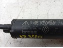 AMORTIGUADORES MALETERO / PORTON 904519252R 904519252R 