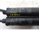 AMORTIGUADORES MALETERO / PORTON 904519252R 904519252R 