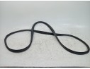 GOMAS CONTORNO PUERTA 769230542R 