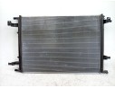 RADIADOR AGUA 214101899R 