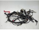 ARNES DE CABLES B5XH25900000 