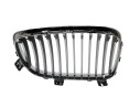 REJILLA DELANTERA 51137166439 107061320/2181505/BM1212024