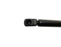 AMORTIGUADORES MALETERO / PORTON 450MM455N 450MM455N 11621240690/18400050026