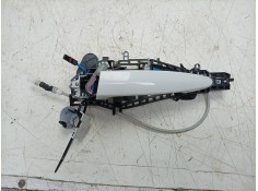 MANETA EXTERIOR DELANTERA IZQUIERDA X1738054703 