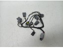 CABLEADO ELECTRICO T2501982 