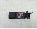 MANDO CONTROL RADIO 255520099R 