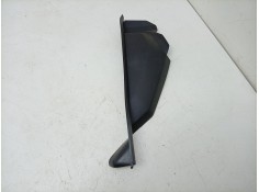 MOLDURA 689213849R 
