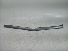 MOLDURA 84795P1100 