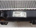RADIADOR AGUA 214105FA0B CCHNS000/DA730R001/550070/550070A