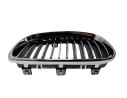 REJILLA DELANTERA 51137166439 107061320/2181505/BM1212024