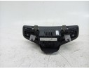 CUADRO INSTRUMENTOS 95C920901L 
