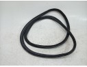 GOMAS CONTORNO PUERTA 670033871 