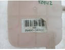 DEPOSITO EXPANSION 25430AT000 25430DF000 