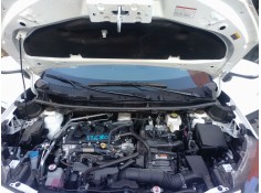 TORPEDO 557080D521 
