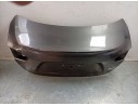 PORTON TRASERO 673004774 