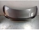 PORTON TRASERO 673004774 
