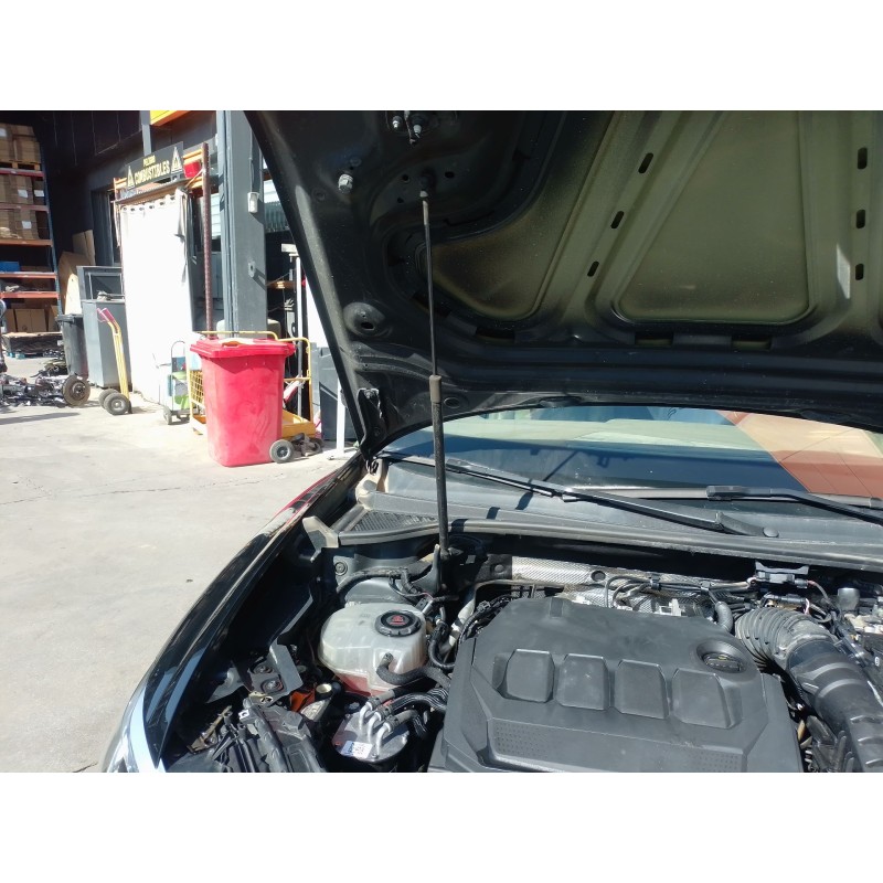 Recambio de amortiguadores capo para audi q3 sportback (f3n) 35 tdi referencia OEM IAM   