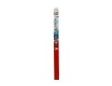 ESCOBILLA LIMPIA 65CM 65CM 32100140650/DOGDVF65