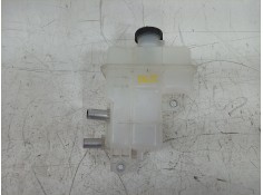 DEPOSITO EXPANSION G910G42010 