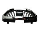 REJILLA DELANTERA 5P08536519B9 107212105/ST3202001