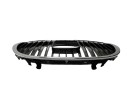 REJILLA DELANTERA 5P08536519B9 107212105/ST3202001