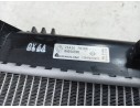 RADIADOR AGUA 214107838R 550432