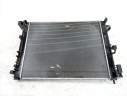 RADIADOR AGUA 214107838R 550432