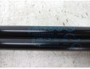 AMORTIGUADORES MALETERO / PORTON LV4BS406A11CA LV4BS406A10CA 