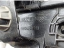 PANEL FRONTAL 625008479R 