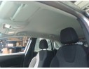 TECHO INTERIOR 39157080 