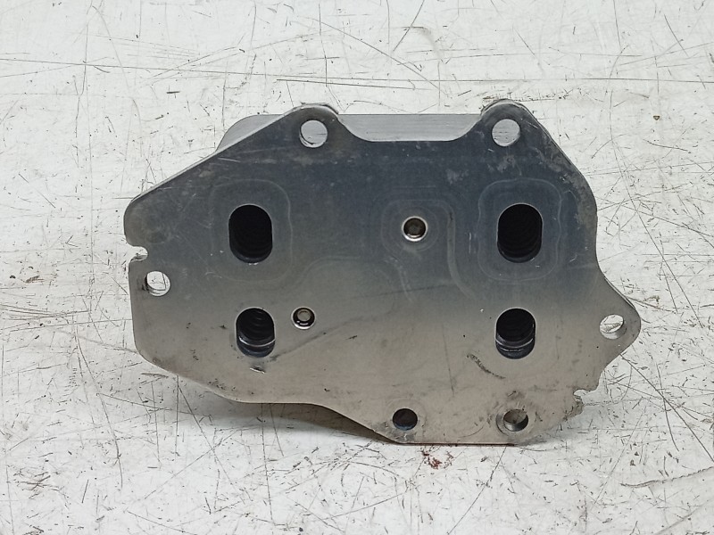 Recambio de enfriador aceite motor para bmw x4 (g02, f98) xdrive 20 d mild-hybrid referencia OEM IAM  72435985 