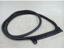 GOMAS CONTORNO PUERTA 9J1831722AR 