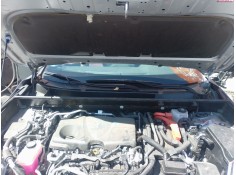 TORPEDO T557084224000 
