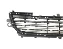 REJILLA PARAGOLPES CENTRAL 9678059480 107175203/P207100K/PG5002120