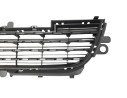 REJILLA PARAGOLPES CENTRAL 9678059480 107175203/P207100K/PG5002120