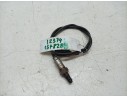 SONDA LAMBDA 36534MLLD01 