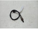 SONDA LAMBDA 36533MLLD01 
