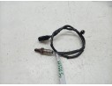 SONDA LAMBDA 36531MLLD01 