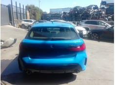 PORTON TRASERO 41009627390 