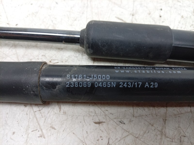 Recambio de amortiguadores capo para kia stinger (ck) 2.0 tgdi cat referencia OEM IAM  81161J5000 