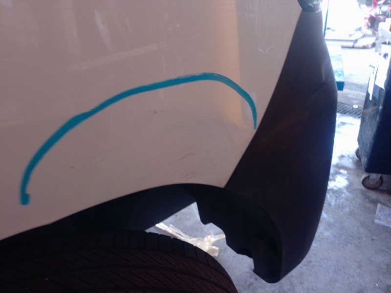 Recambio de aleta delantera derecha para renault master iii furgoneta (fv) 2.3 dci 150 fwd (fv0f, fv03) referencia OEM IAM   