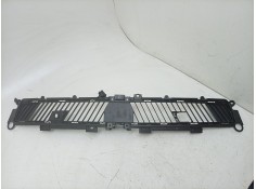 REJILLA DELANTERA 622546102R 