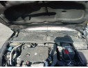 TORPEDO 9830565680 